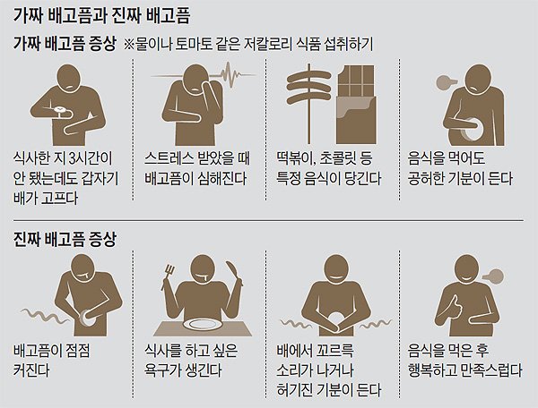 가짜 배고픔과 진짜 배고픔 | 인스티즈