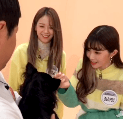 아이돌룸 기습V앱 프로미스나인.GIF | 인스티즈