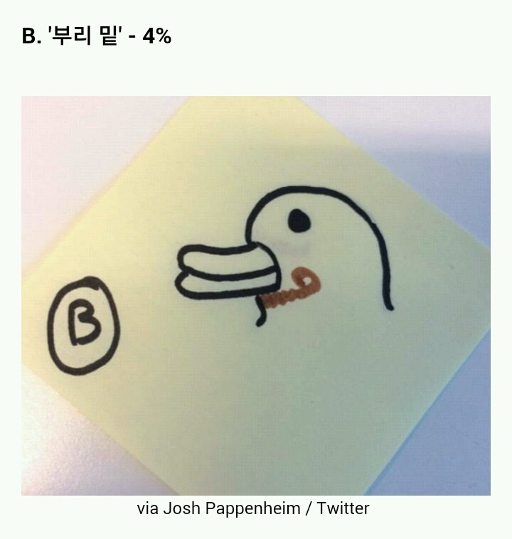 오리에게 콧수염이 난다면 어디에 날까 | 인스티즈