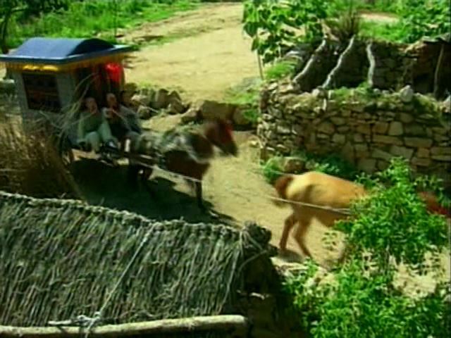 [황제의딸] 사라진 자미 10 | 인스티즈