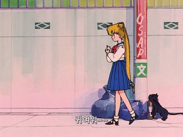 미소녀 전사 세일러문 (美少女戦士セーラームーン) 05 | 인스티즈