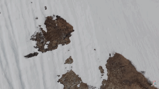 어미곰 쫒아가는 아기곰 | 인스티즈