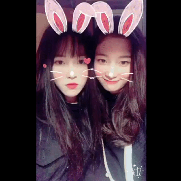 유채꽃(유주와 정채연).jpgif | 인스티즈