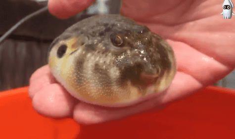 예나 선정이딸이에요 | 인스티즈