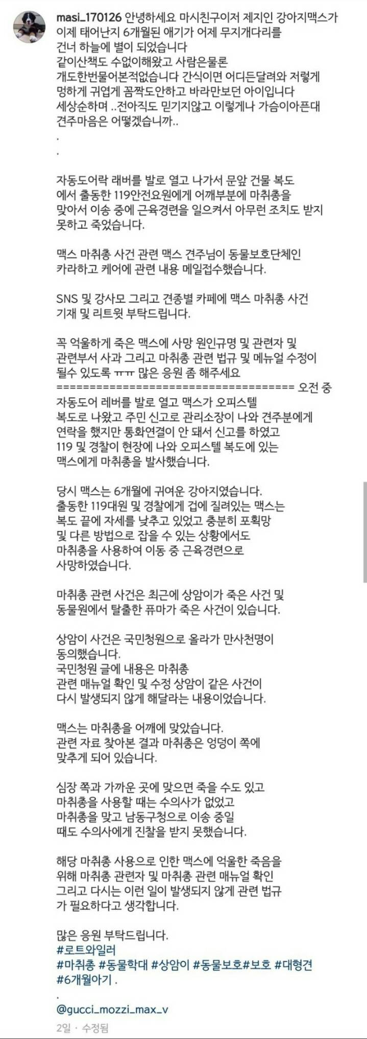 6개월된 강아지를 119가 마취총으로 죽였어요 | 인스티즈