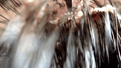 혐주의)비듬제거.GIF | 인스티즈