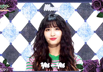 [데이터주의] 뮤직뱅크 트와이스.gif | 인스티즈