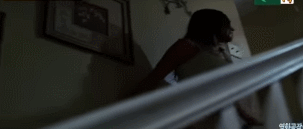 아빠가 큰 고양이를 입양해왔는데.. 개무섭고 개시름;.gif | 인스티즈