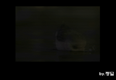 시골의 21000짜리 치킨.. | 인스티즈