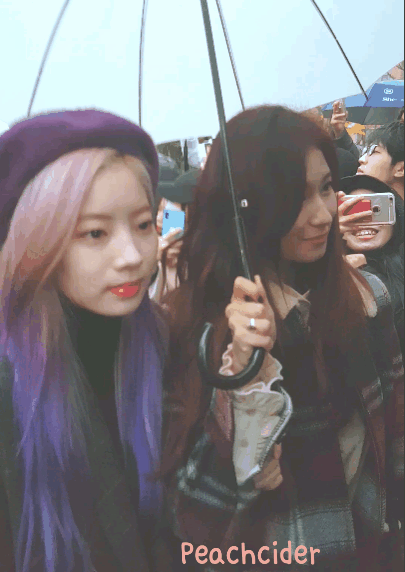 181109 뮤직뱅크 출근 트와이스 움짤.gif | 인스티즈