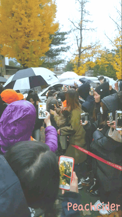 181109 뮤직뱅크 출근 트와이스 움짤.gif | 인스티즈