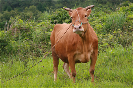 도서관에서 볼 수 있는 사람들 유형 | 인스티즈