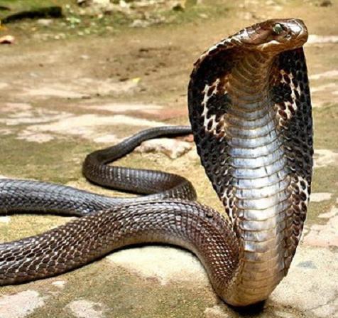 도서관에서 볼 수 있는 사람들 유형 | 인스티즈