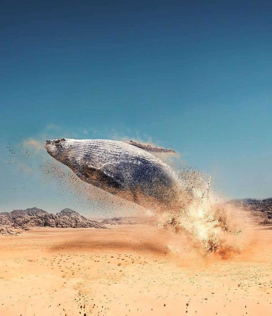 초현실주의 사진 | 인스티즈