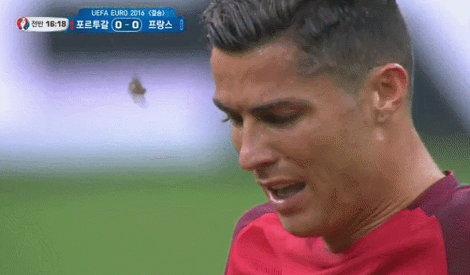 유로2016 명장면.gif | 인스티즈