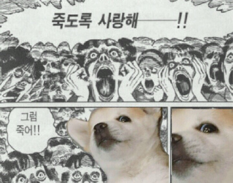 [고르기] 사랑은 최선을 다해야 한다 vs 적당히 해야 한다 | 인스티즈