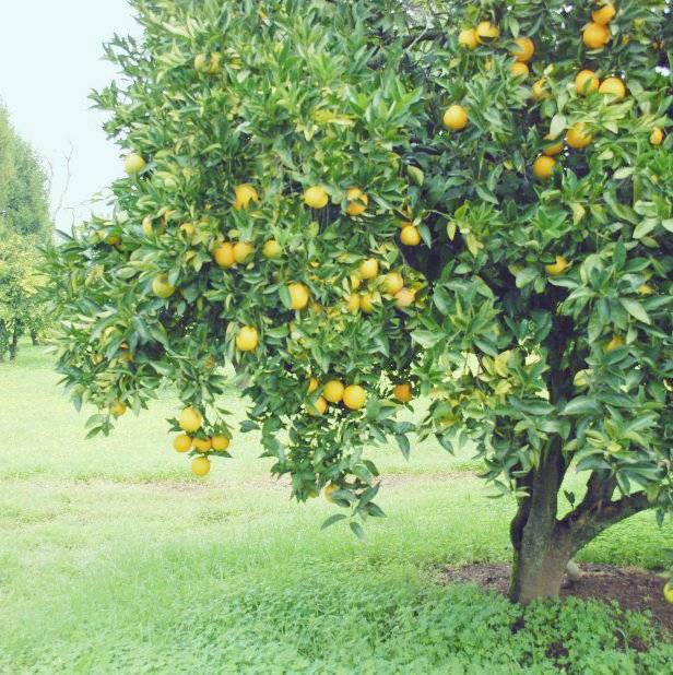  깊은 인상을 남기는 문학 작품들의 첫 문장 | 인스티즈