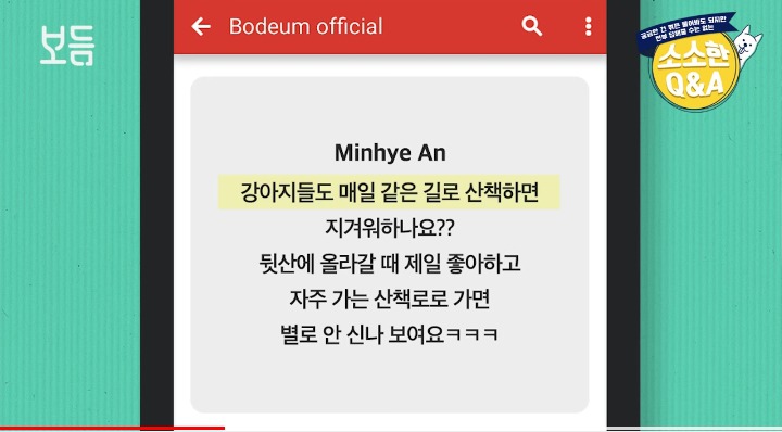 [강형욱의소소한Q&amp;A] 강아지도 매일 같은 길로 산책하면 지겨워 하나요? | 인스티즈