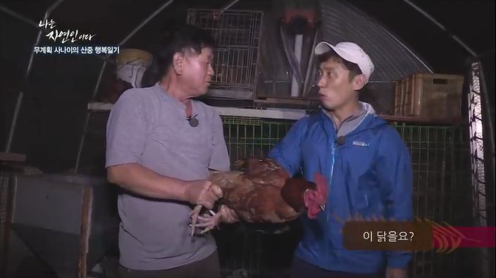 이승윤을 위해 닭 잡는 자연인 | 인스티즈