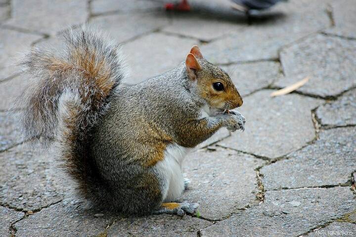 샤이니 대포가 아프리카 여행가서 찍어온 사진 | 인스티즈