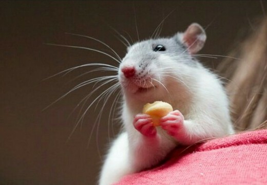 낮말은 새가듣고 | 인스티즈