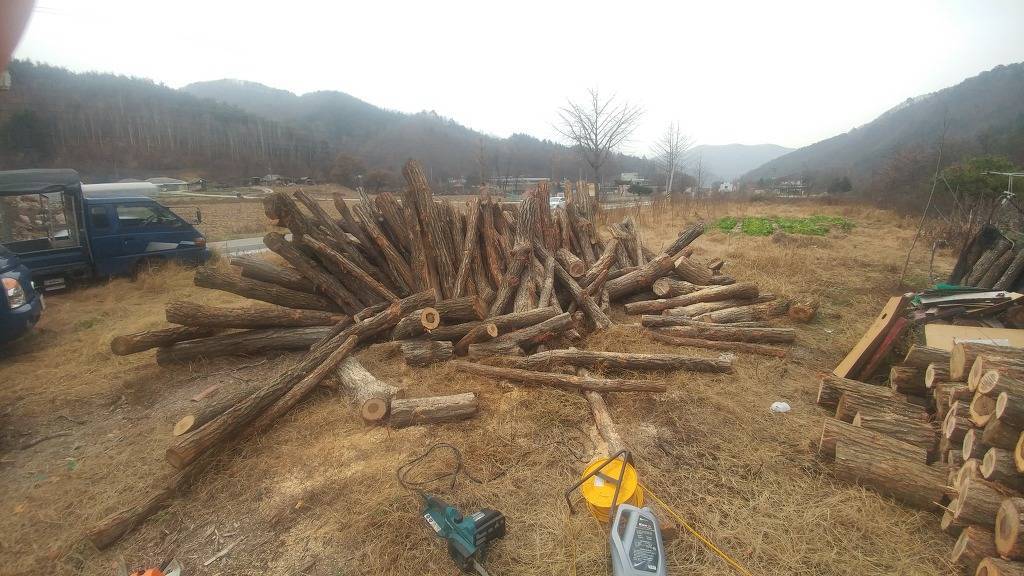 [로스트아크] 벌목스킬 만렙찍었습니다 | 인스티즈