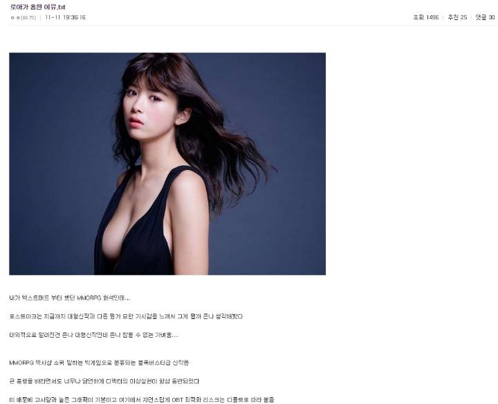 디씨에서 분석한 로스트아크 흥행 이유 | 인스티즈