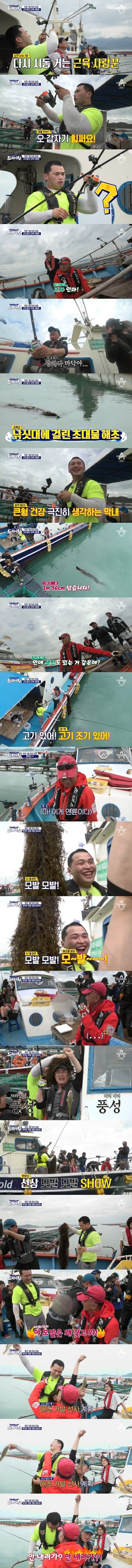 이덕화 능욕하는 마닷과 이경규 | 인스티즈