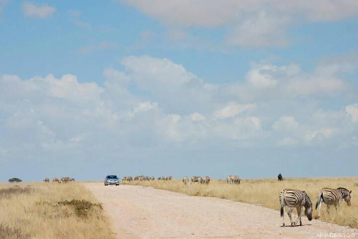 샤이니 대포가 아프리카 여행가서 찍어온 사진 | 인스티즈
