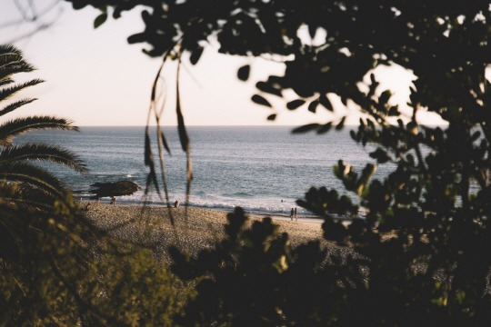  나는 그때 절망을 선택한 것이다 | 인스티즈