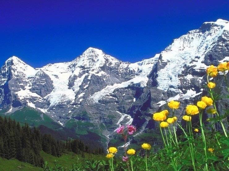 한반도의 스위스 | 인스티즈