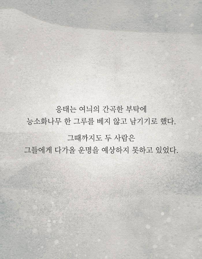 [책소개] 끔찍한 사주를 속이고 결혼한 남자 | 인스티즈