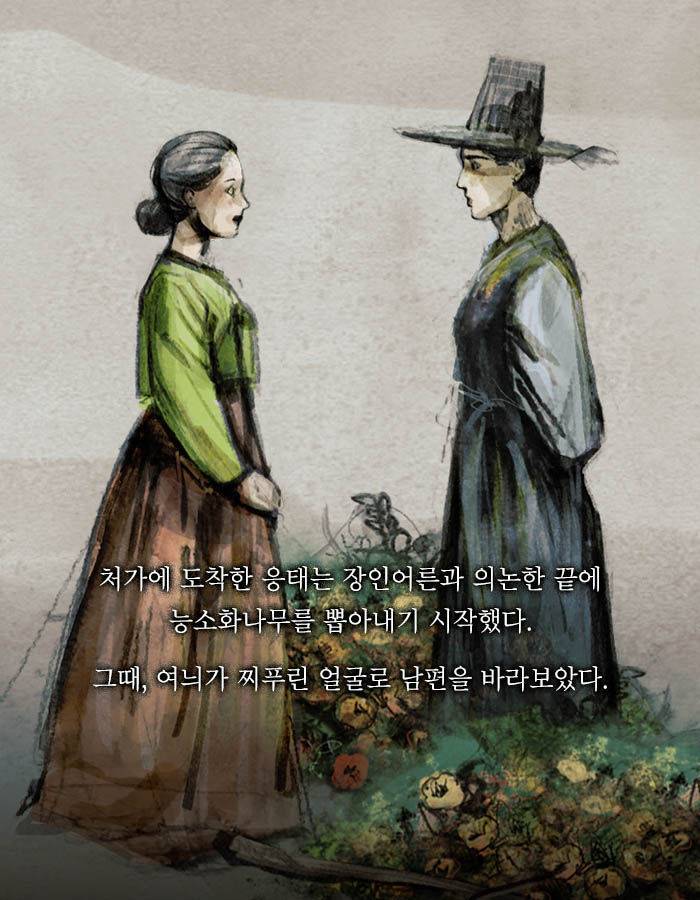 [책소개] 끔찍한 사주를 속이고 결혼한 남자 | 인스티즈