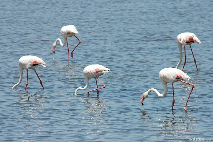 샤이니 대포가 아프리카 여행가서 찍어온 사진 | 인스티즈