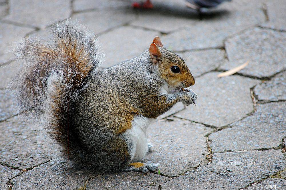 샤이니 대포가 아프리카 가서 찍어온 사진 ㄷㄷㄷ.jpg | 인스티즈