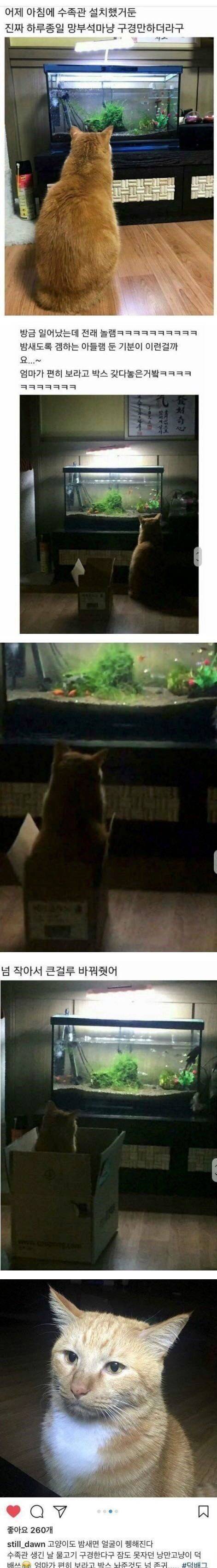 밤새도록 게임하는 아들 보는 기분 | 인스티즈