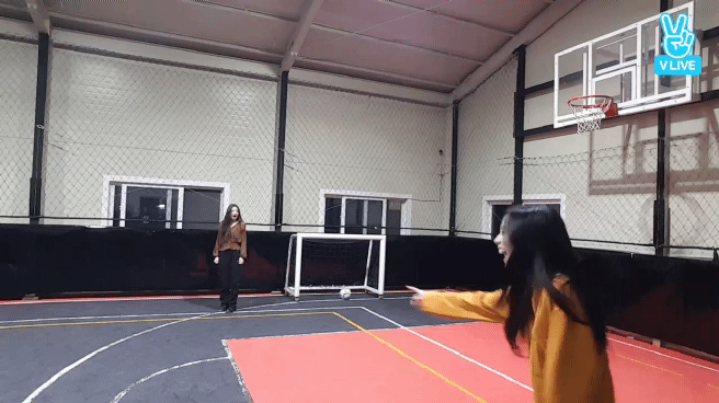 공좀차는 지수와 볼보이 제니 | 인스티즈