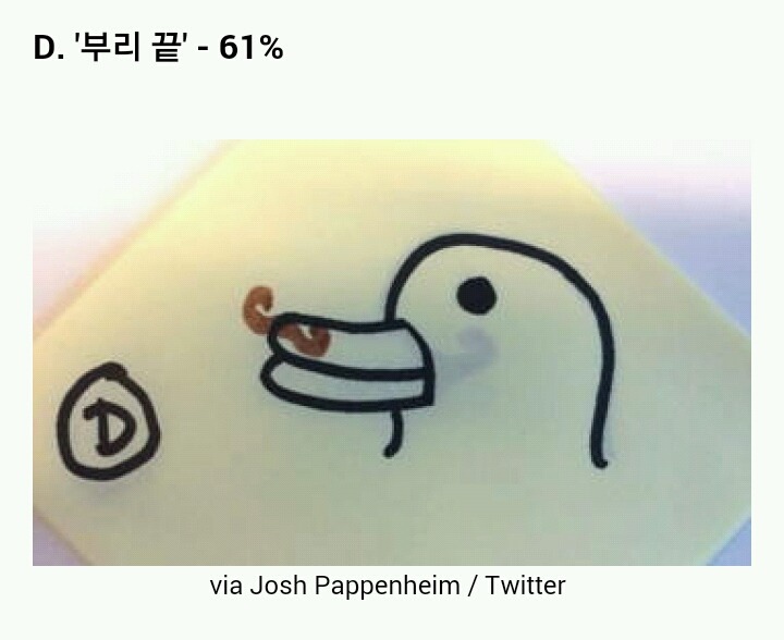 오리에게 콧수염이 난다면 어디에 날까 | 인스티즈