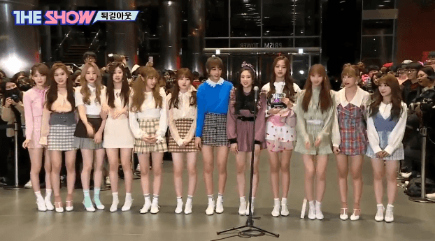 [아이즈원] 아이즈원 꽃포즈해주세요.gif + 어디가율.gif | 인스티즈