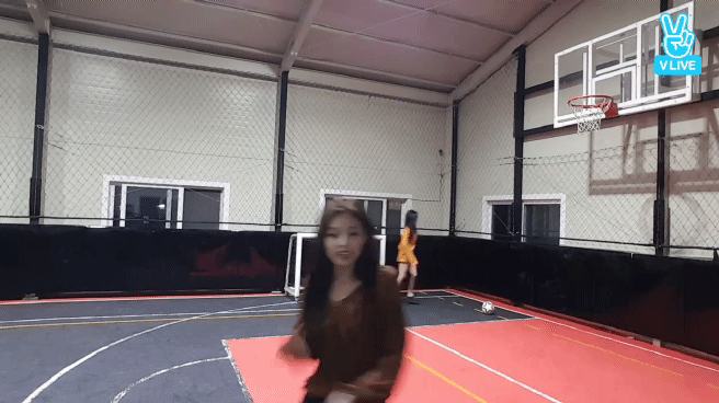 공좀차는 지수와 볼보이 제니 | 인스티즈