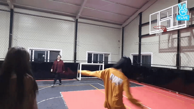 공좀차는 지수와 볼보이 제니 | 인스티즈