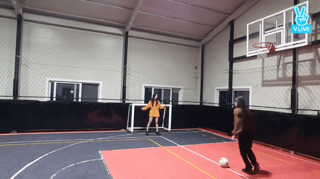 공좀차는 지수와 볼보이 제니 | 인스티즈