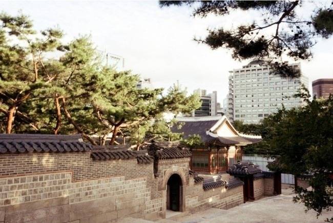 외국인 관광객이 찍은 우리나라 풍경.jpg | 인스티즈