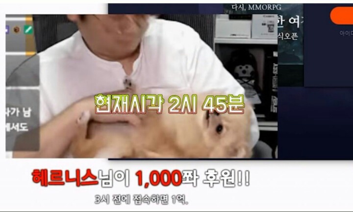 로아로 1억 번 스트리머 등장.jpg | 인스티즈