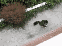 집사의 자상한 배려 | 인스티즈