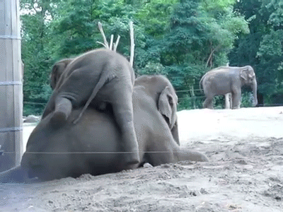 엄마가 제일 좋아 | 인스티즈