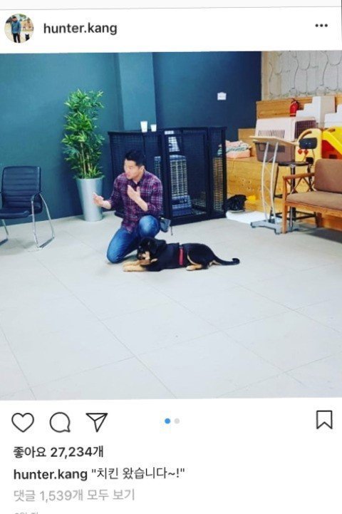 치킨왔다는 소리에 달려가는 강아지.jpg | 인스티즈