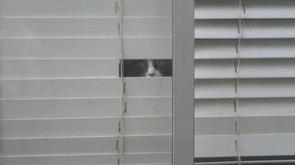 집사의 자상한 배려 | 인스티즈