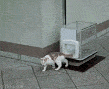 집사의 자상한 배려 | 인스티즈