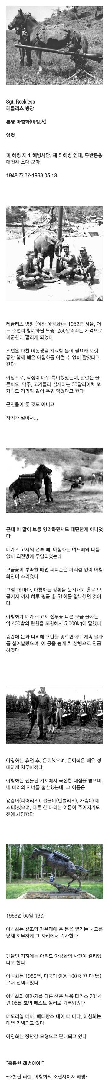 한국 토종말의 위엄.jpg | 인스티즈